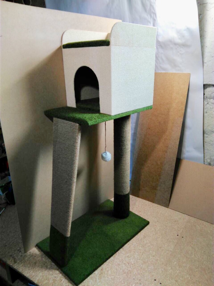 ���� �� 05.03. ������, �������, ��������� �� ����� ������. ����������, ��������� ��� �����, �����������, ������, ��������� ��� ����� - ������� ������ ���-56