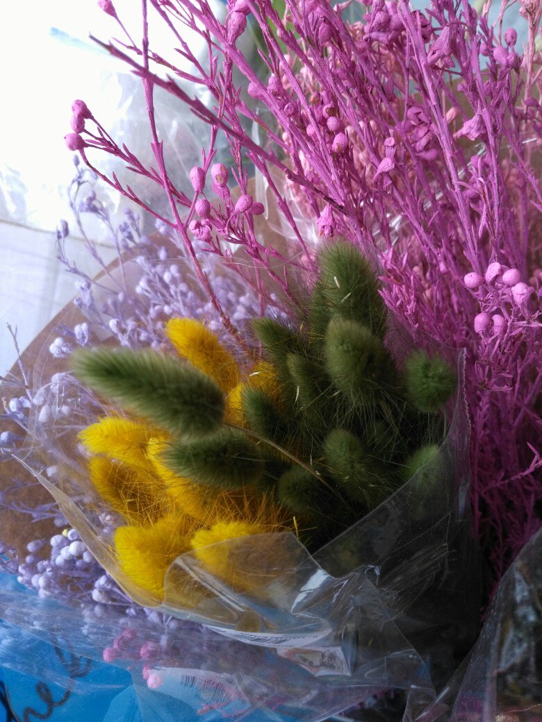 �������� ������� � ���������.