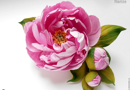 ���� �������. ����� 1