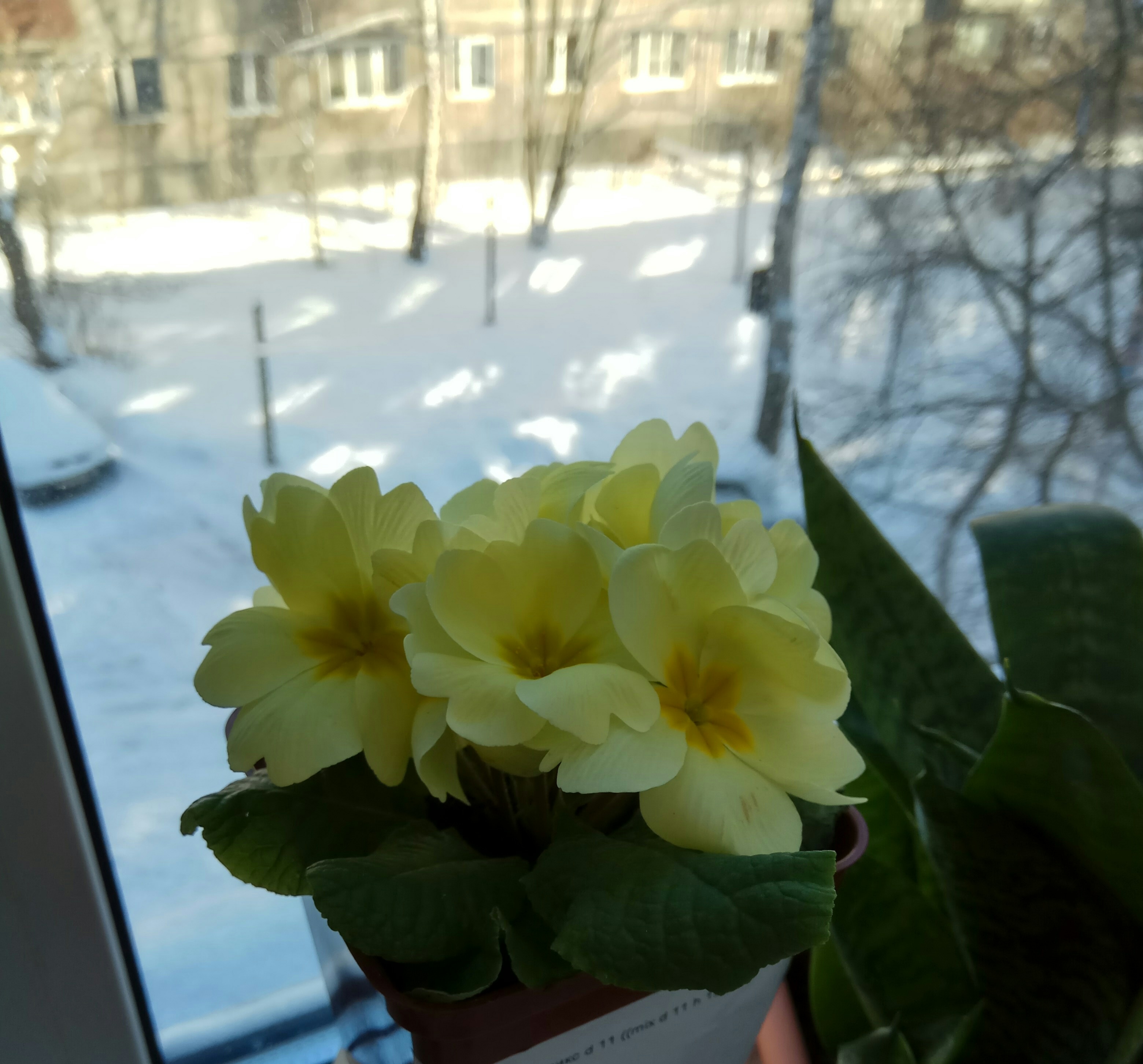 ������ ����! ��������� ��� � �����! ����� ������! ��������� �������! #������������ #������� #����� #����� #�������� #��� #��� #��� #�������_�����_� #petrova_maria_n 