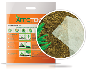  ���� �������. �������� �������� ��������-����������� ����� �� ���������� �����.