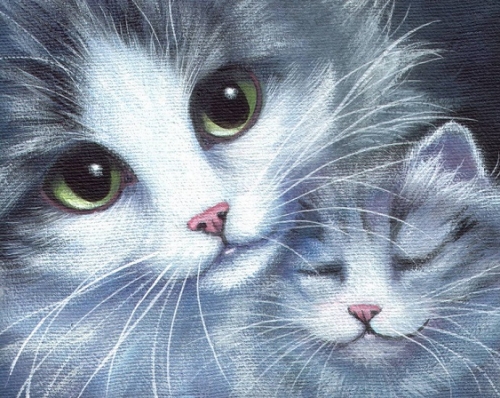 ������� ����� ������ �� ������� 40*50 �� 330�., �������� �������, ������������� ������. ���������� ������������! ����� �������! ����� �����������. ����� 8. 