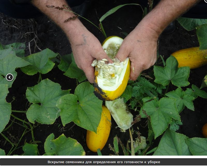 ������������ ��������� ������ ��������� ��������, ������� �� ������� ������� � ������. ������ �������������� �������, ����������������� ������ � ������ � ������ ������