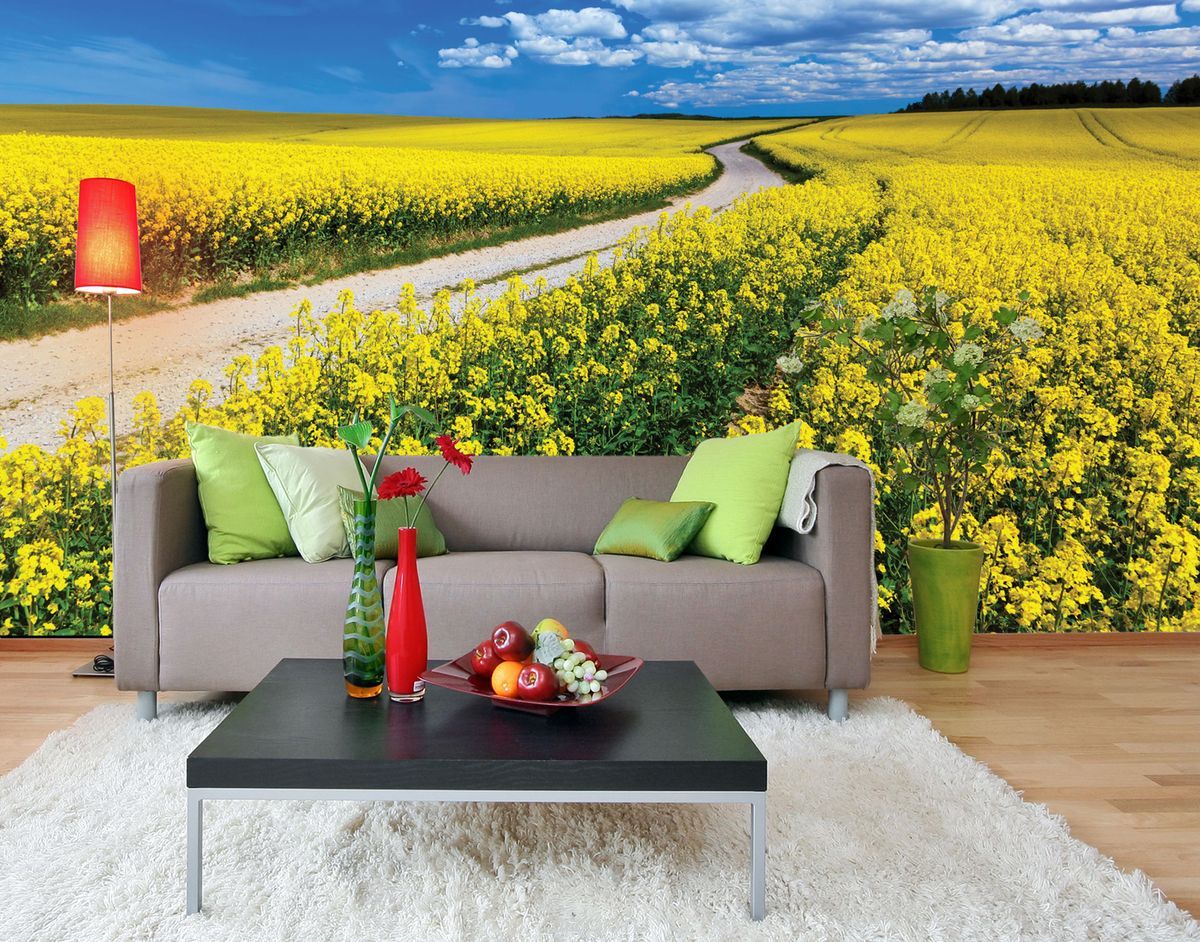 ���� ������� �� 13.04. ���������� ������ �� ������ � ��������� ����� ���������! ��� ������� �� 150�, �������� �� 950�! ������ �� ����� �������. ������� �����������!