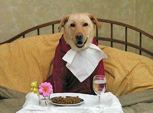 ������� � �������� ��������� � ������� ��� ����� ��������: ����, ������, ������, ������, ����� � ��. ����� ������, ����. ��� ����� ������ �������! �������!