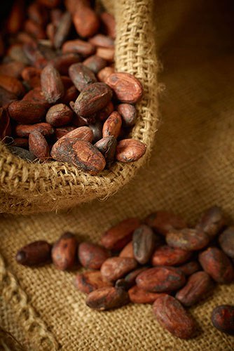 ���������� ����