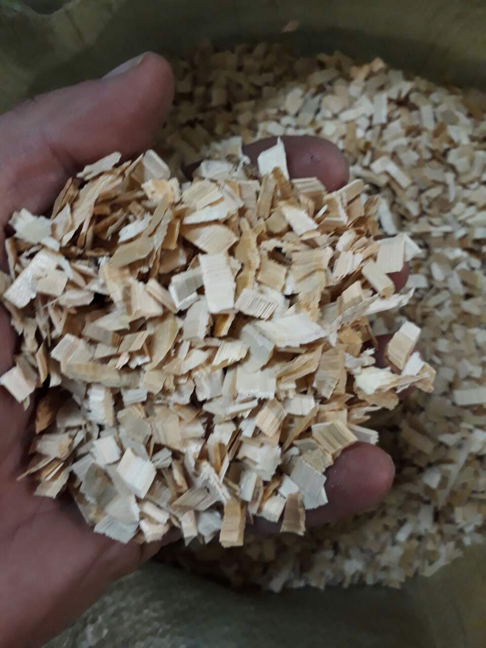 ���� ��� �������� � ���������) �������� �����? ����?) ������?) ������ ����!)