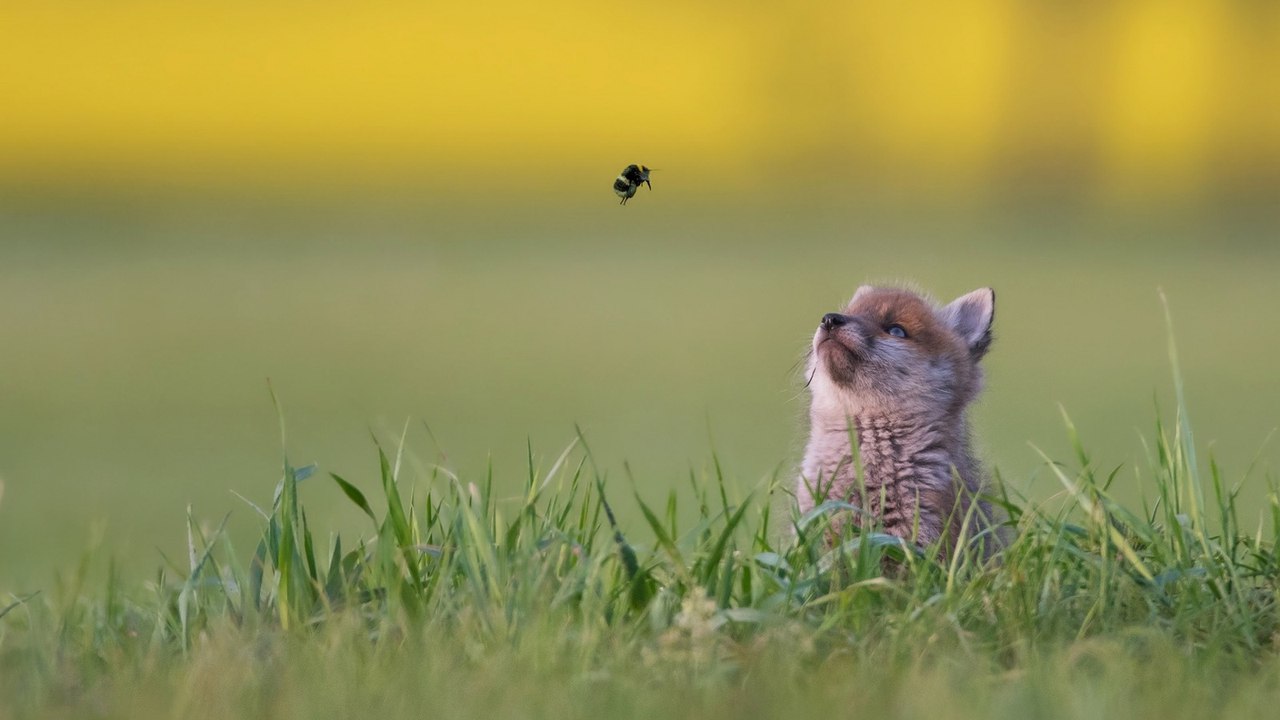 ��ӣ��� � �����