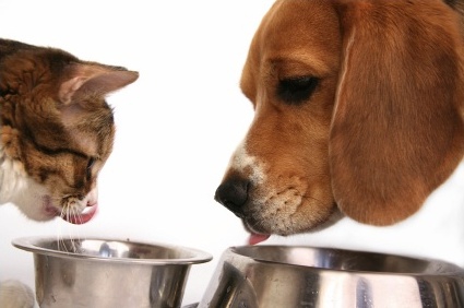 ���� �������. 25.03. ������� ���� Bosh � Sanabele. ��� ��� ���� ����� �������� ������ �������! �������!