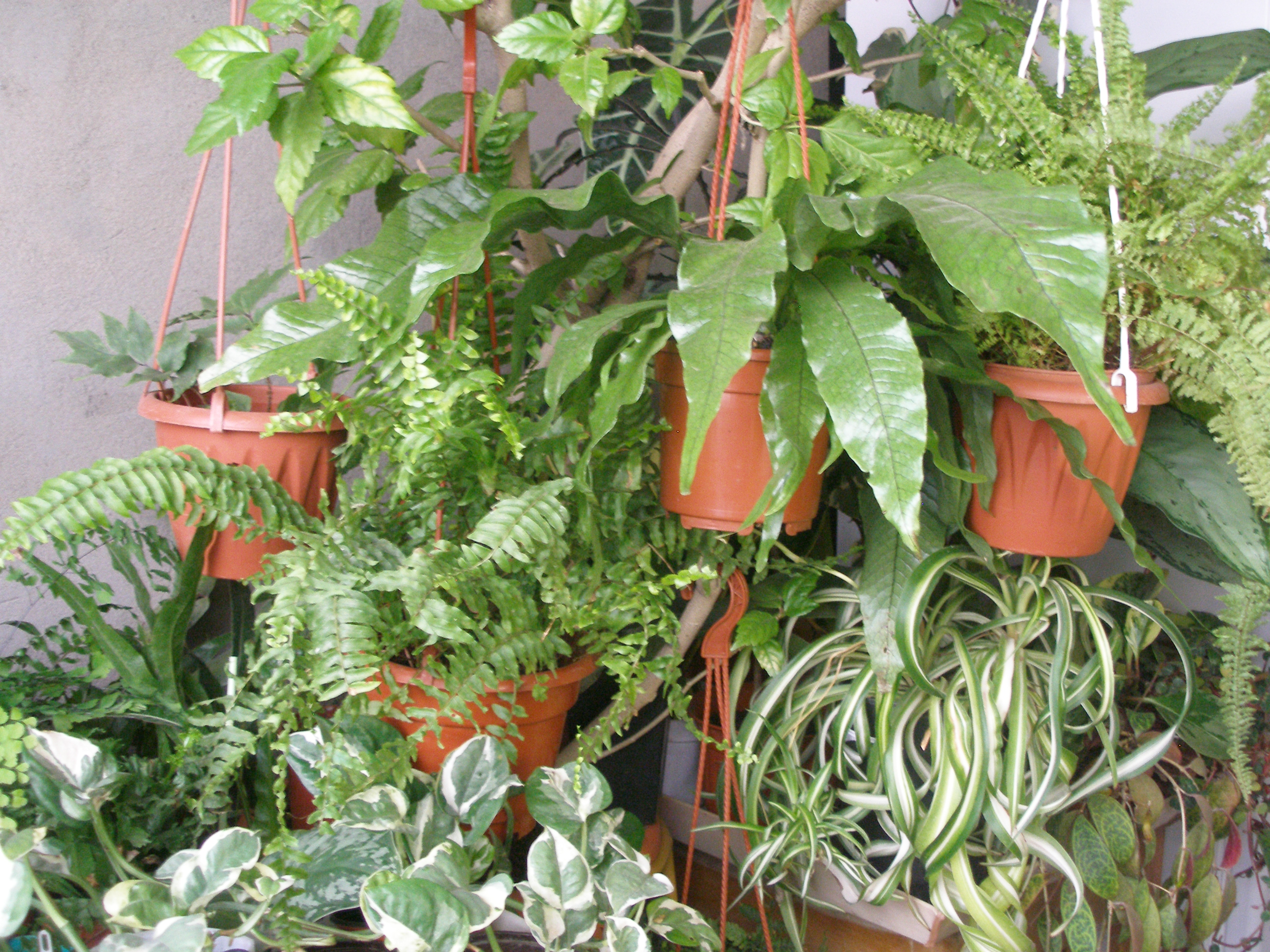 ���� ������� �� 3.04. ��������� �������� �� ��������. ���������� ����������. ���� 75�, 100�, 125�, 175� � �.�. ��� ���%. ����������.