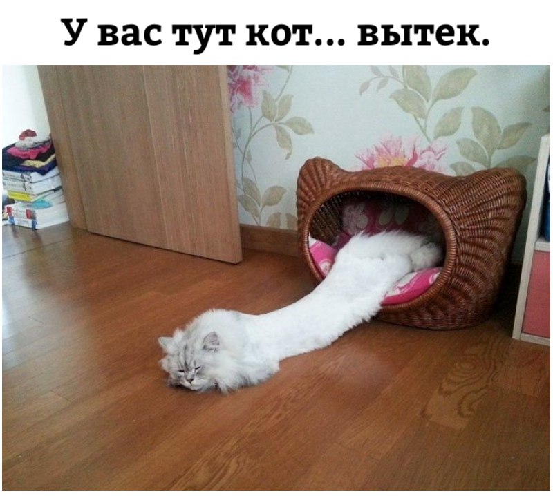 ������� ����