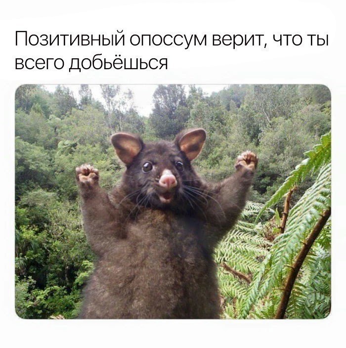 ������� ����