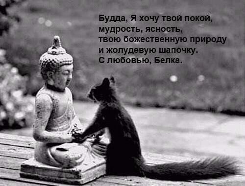 ������� ����