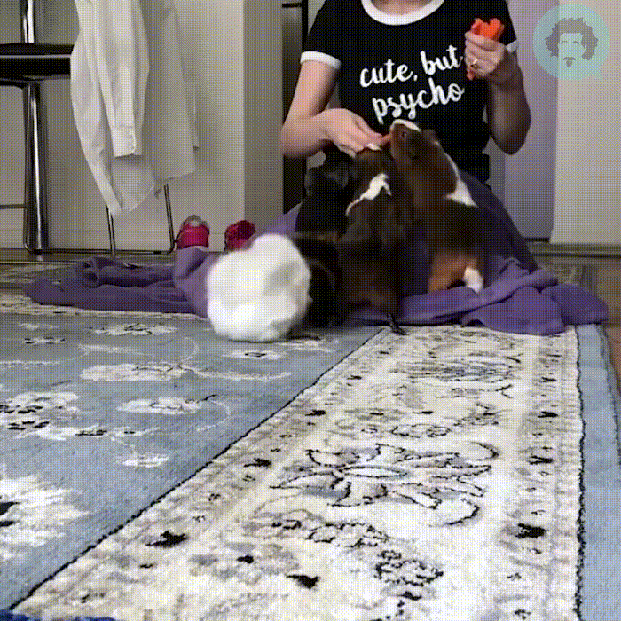 ������ ��ۣ�!  ������ ��ۣ�!