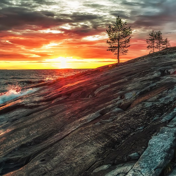 ���� ��� ������� �����.