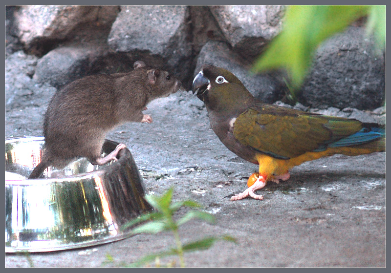 ���� �� 15.04. ������� ����������� ��� ���� � �������� - �� ������ �� �������.��������� ������ �� ��������������� �����- Lit*t*le O*ne, R*i*o, JR F*a*r*m, I*P*T*S/Be*ez*tee*s ���� 46..