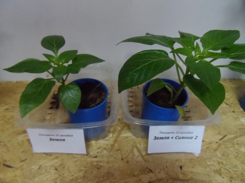 ���� �� 15.04. ������������ C*u��ue - ���, ��� ���������� ����� �����!-4