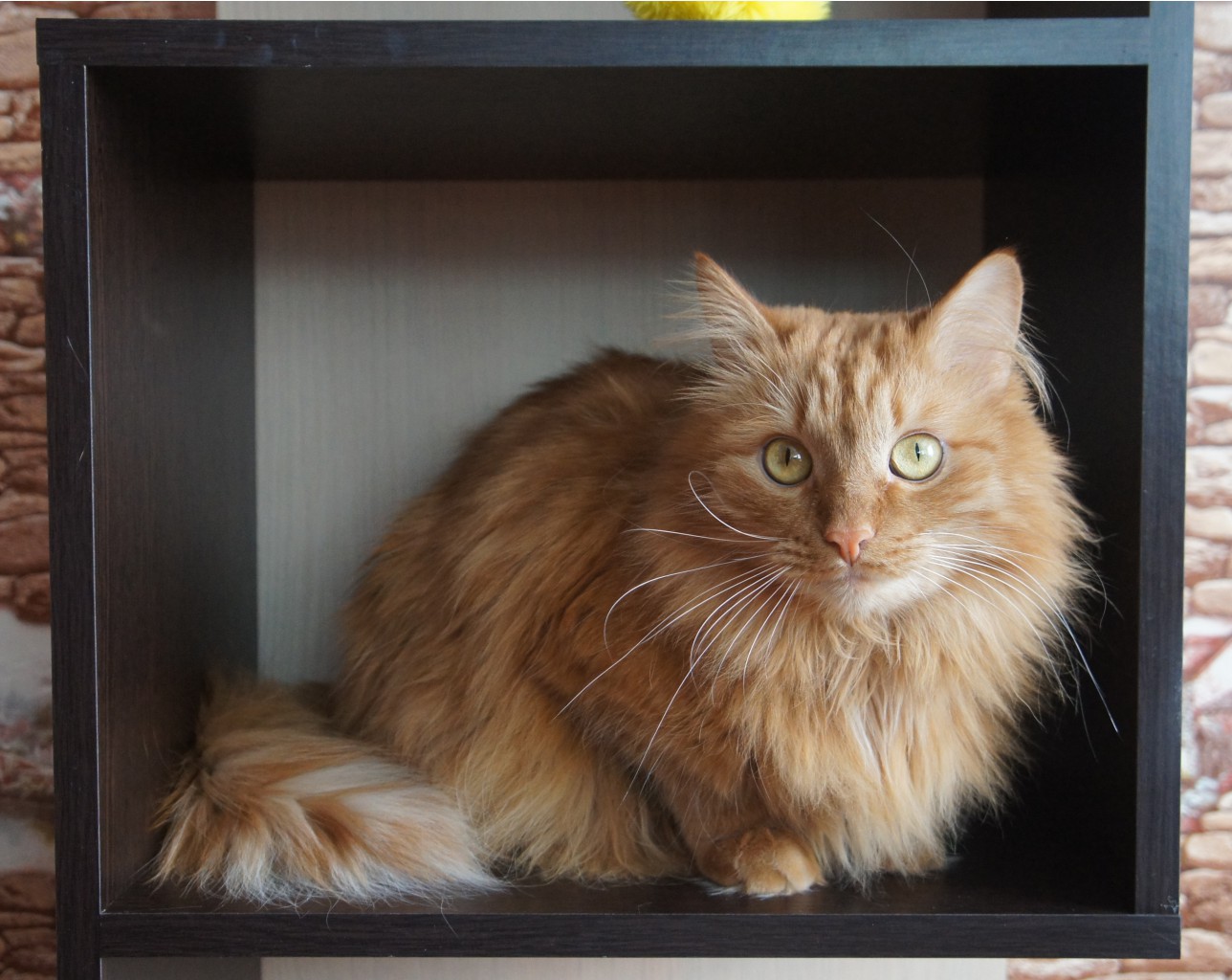 ������-������ ������� 4 ����! � ���� ��������, �������� ������ ��������)))