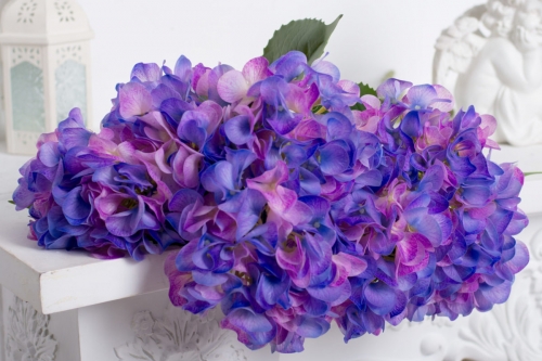 ��� ���������) � �������� ��������.... 