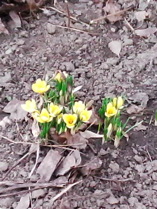 10 ������, �������, �������� (�������� �����)