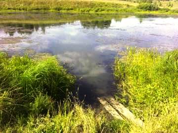 ������ ������� ����� ��� ���-�����, ����������� �