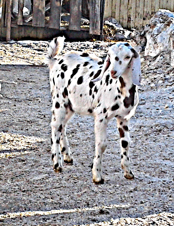 ��������� ������� � ������ ����