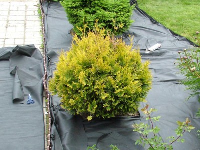 ���� �� 23 ������ . �������� ( �������� �������� ) , ������ ( ��������������, ������������, ��� ) 55