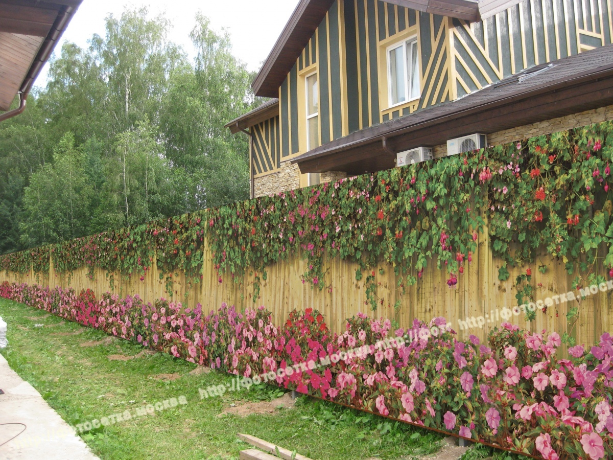 ��� �������, �������, 3����� ��� ������ ��������� � ����� �������((((((: