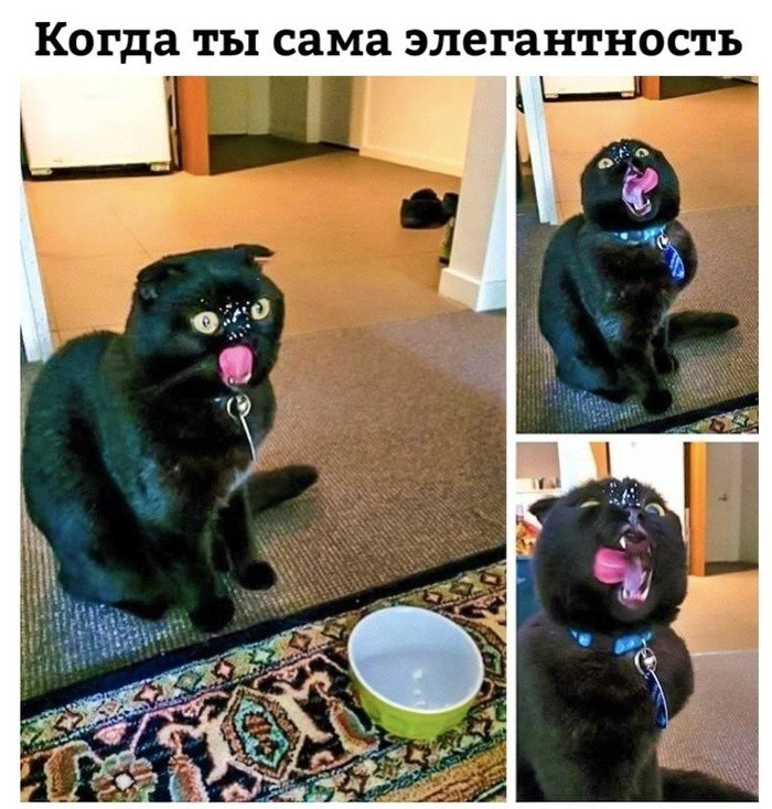 ������� ����