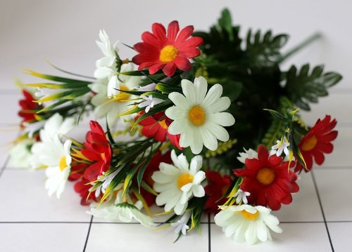 ������������� ����� �� ����� ������ �����-5