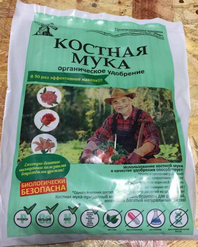 ���� �� 24.04. ����������� ���� - �������� ����������. ������������������ ���������������� ����������. ���������� ����� ��������! ����� ������