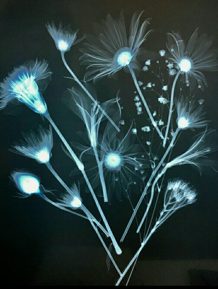 ������� �� ���������