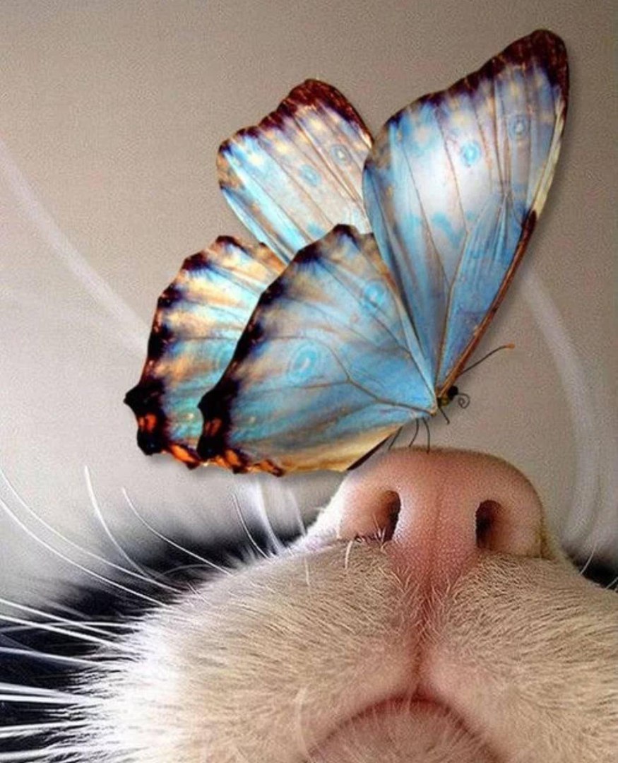 ��� �� ����