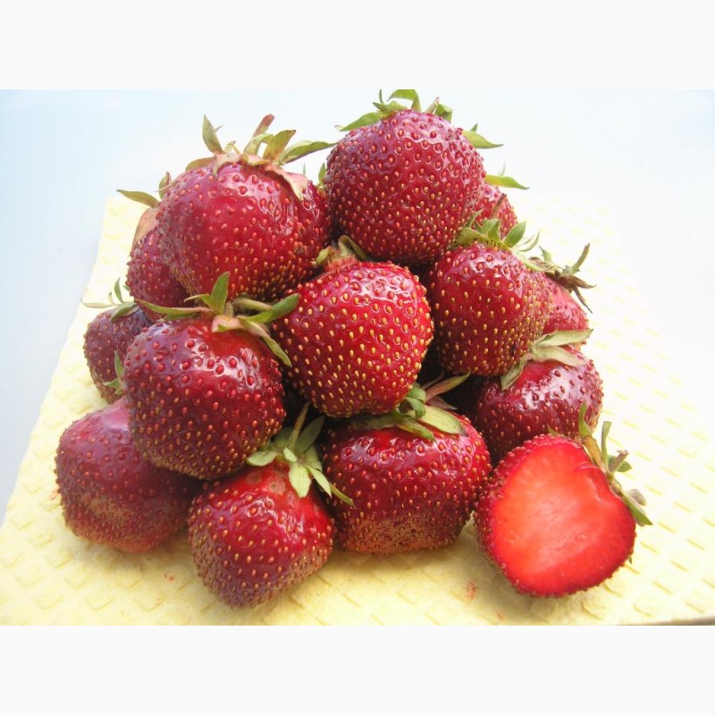 ���� �������. ��������� 14 (��������).