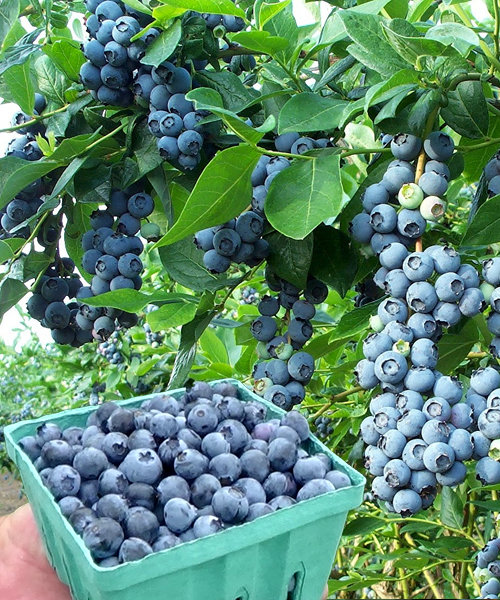 ���� ������� �� 08.05----�-�-�-�-�-�-�-�-�-�-- ��������� ����� - ���������, ����, �������� � ������������ ���������� ,�������.