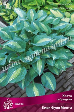 ���� ������� �� 08.05---- ��������� ����� - ���������� � ������������: �����, �����, ������, �����, ���������� � ������ ������.