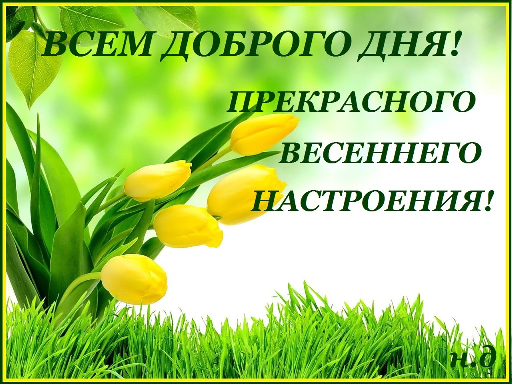 ������� 29 ������. ��� ��! �������� ��� ���� ��, ������� �����,�ӣ � �������. ��������- ���������� �����, ������, �������, ��������� � ����