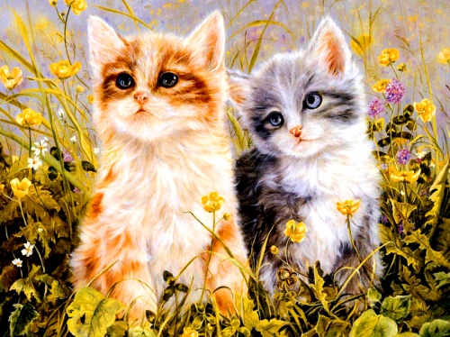 ���� �� 09.05.���������� ���� ����������! �������-��������� �� ������� �� 300 ���.����� 1500 �������.�������� ������� � ������������.����� 54