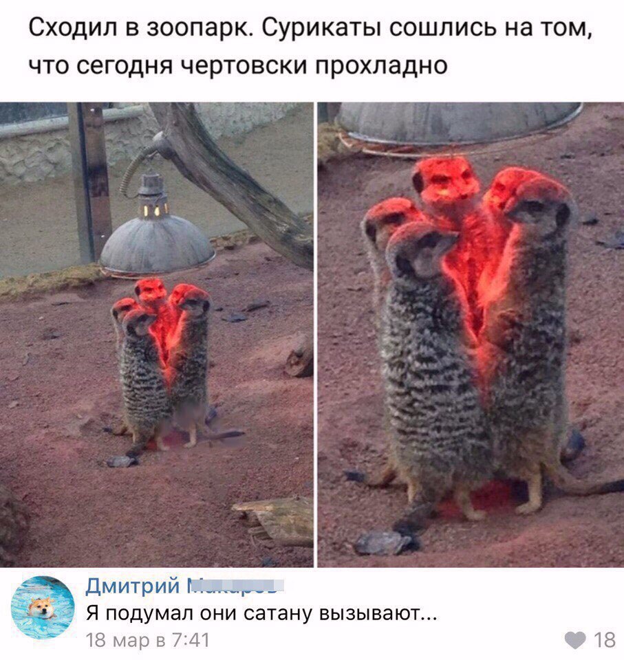 ������� ����