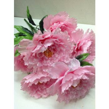 [b]���� �� 11 . 05 . ������������� ����� , ������ �� 8-50 , ��������� ����� - 7-50. ����� ��������� �������� �� ������������� ![/b]