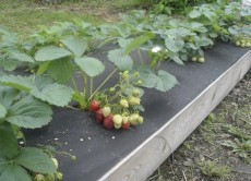 ���� ������� �� 10.05 �������, �������, ��������� �����, �������� ��������, ��������� ������ � �� �� ������������� �����*��-2