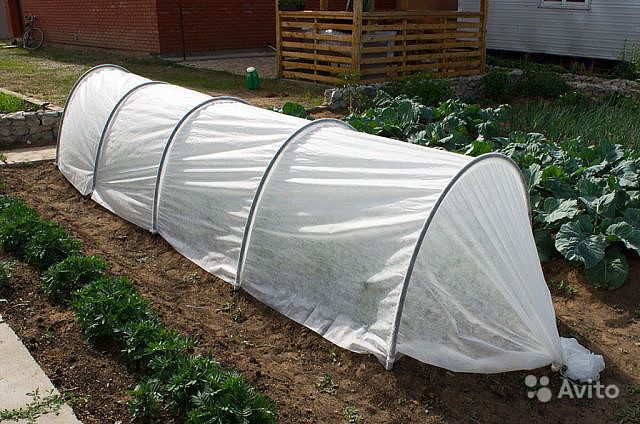 	��� � �������. ��� ����� . �������. �������. �������. ����� ��� �������. ��������� �����. ��������, ������. ���������� � ��.