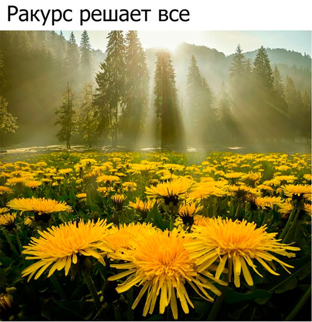 ������� ����