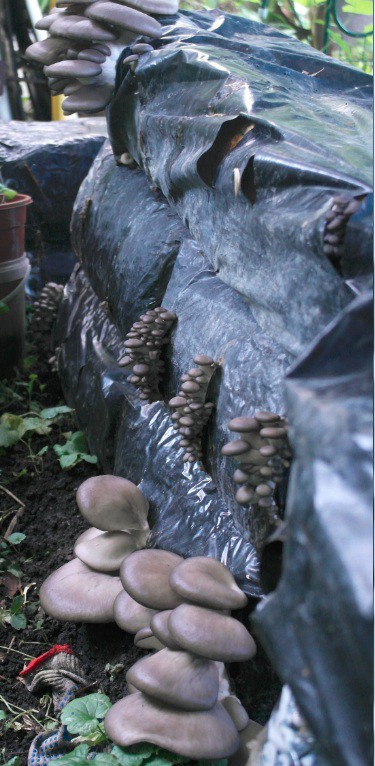 ���� �� 13 ���. ���������� ������� ��� ���������� ���������! ������� ������� ������. ������� � �������! 2-18.  