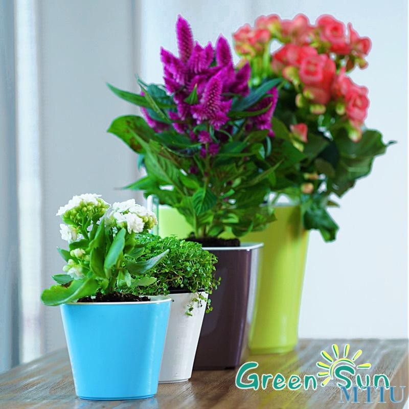 ���� �� 20 ���. ����� ������ � ���� ������! ������-������ 5-18.    