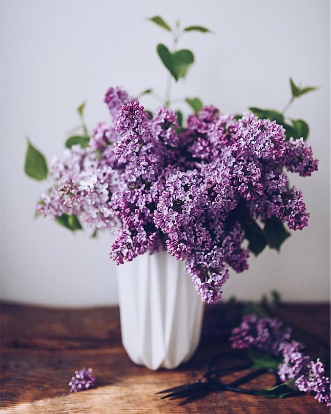 ��� �����