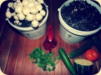 [b]���� ������� �� 21.05. ����������  ������ �������� ������� ��� . ����� �������� ������� ������� � ������������ � ���������. � ����� ���� ������� 15 �� - 230 ��� ! ��� �� ! [/b]