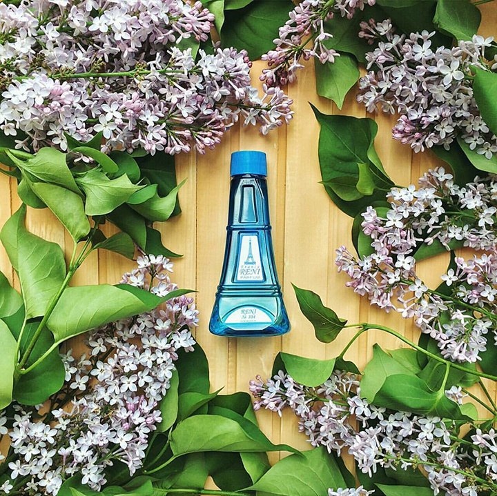 ]�������� ���������� Reni -43