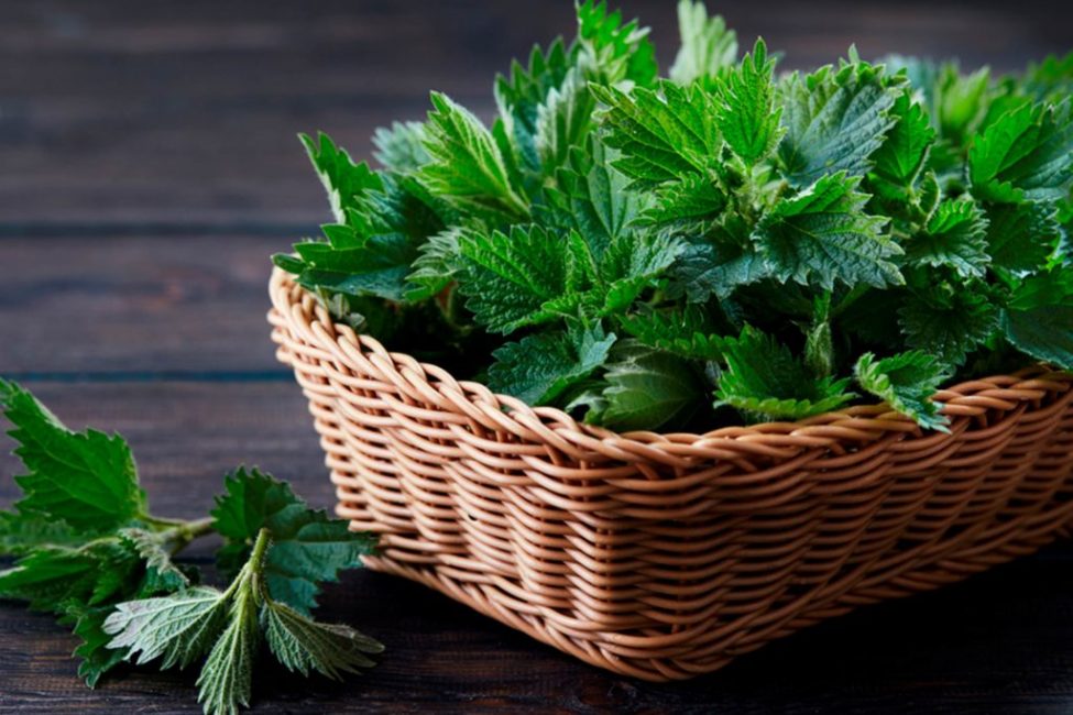 ������� ������� - �������� ��������� ��� ����� �����