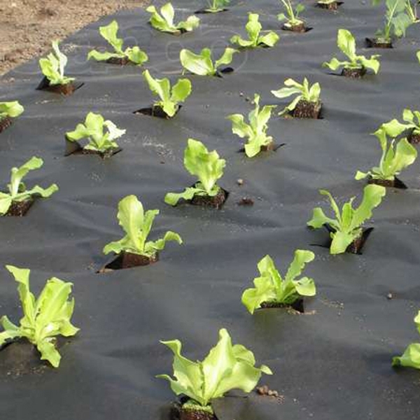 ���� ������� �� 25.05 �������, �������, ��������� �����, �������� ��������, ��������� ������ � �� �� ������������� �����*��-3